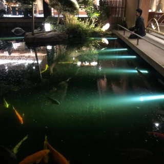 披露宴終了後に館内で夜の撮影をしていただきました。