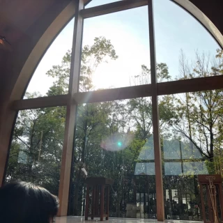 自然光、緑、青空が見えます。