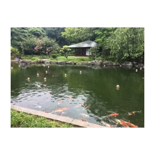 高砂側に日本庭園が広がっており装花が控えめでも全然大丈夫そう