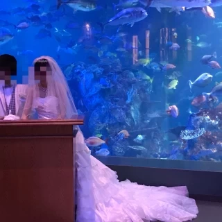 水槽の前で結婚証明書にサイン