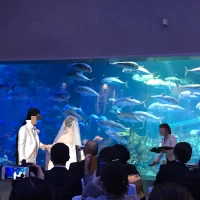 水槽前で指輪交換