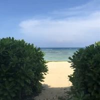 控え室の窓の外にはこんな景色が待っています