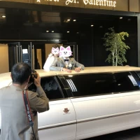リムジン、上から顔が出せます