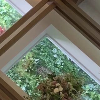 大きなガラスに
自然が映り込む