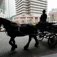 馬車で登場