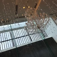 チャペルの天井