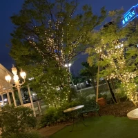 庭です