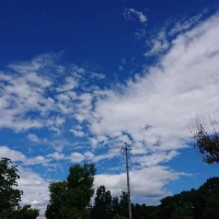 窓からみえてきれいです