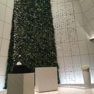 緑と白のナチュラルな雰囲気