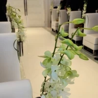 装花