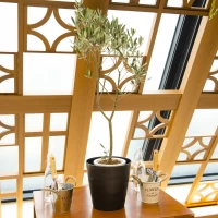 人前式用の植樹の鉢植え