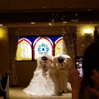新郎新婦退場の後ろにもステンドグラスが