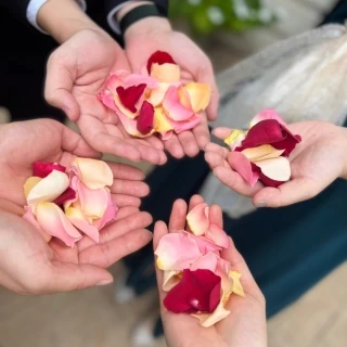 生花フラワーシャワー