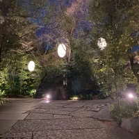 この道を通って、会場へいきます。