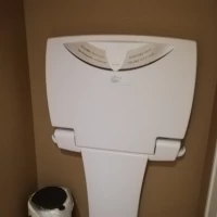 トイレ内のおむつ替え台