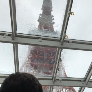 雨の日でも東京タワーちゃんと見えます