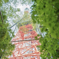 入り口から東京タワーを見ると夏はとてもステキです。