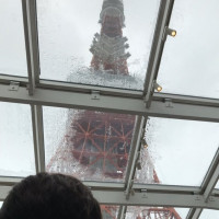 雨の日でも東京タワーちゃんと見えます