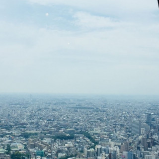 披露宴会場からの景色