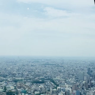 披露宴会場からの景色