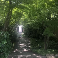 入り口の階段