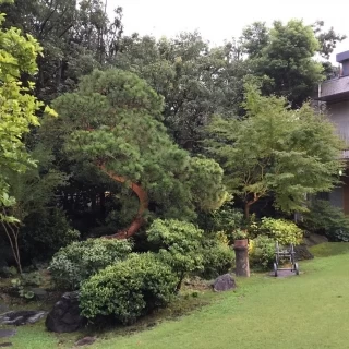 お庭です。