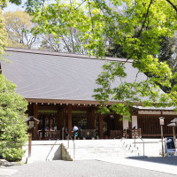 緑溢れる乃木神社