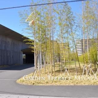 竹で綺麗な入り口