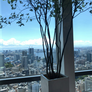 羨望が素晴らしい