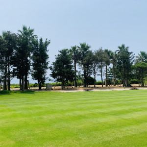 緑の芝生がとても綺麗です。青空とマッチしています。|541306さんの大磯プリンスホテルの写真(864657)