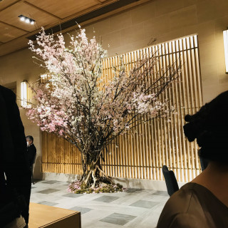 披露宴会場の中心にあった桜の木