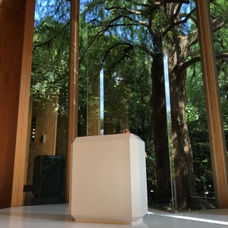 シンボルツリーが見えます。