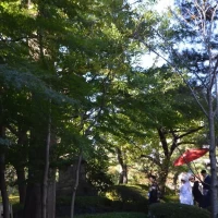花嫁御寮