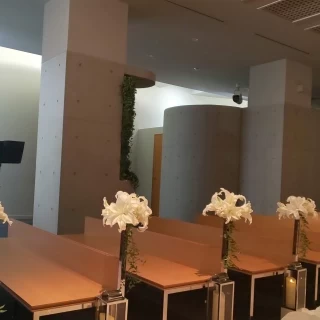 背もたれが浅いので着物の帯がつぶれない