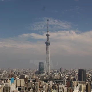 綺麗にみえるスカイツリー