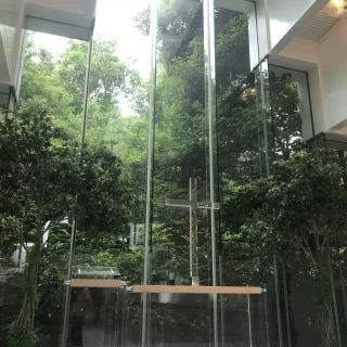 雨でしたが、それでもこんなに光が入ります