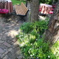 細かい所まで手入れがされています。