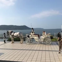 馬車での入場