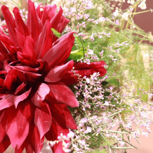 受付花|542555さんのBLOOM by maruya gardens（ブルームバイマルヤガーデンズ）の写真(851136)