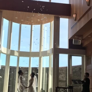 祝福の羽