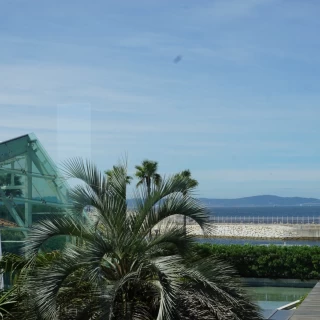 海がすぐ横のためいい景色です