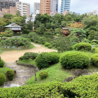 披露宴会場のバックの日本庭園
