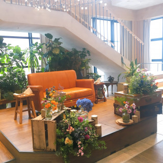 後ろの観葉植物はすでについてる。緑と光が感じられる