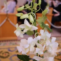 チャペルのお花