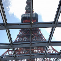 天井から見える東京タワーは写真映え間違いなしです。