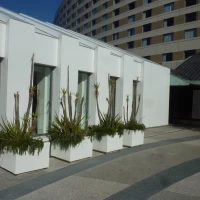 ヒルトン東京ベイ