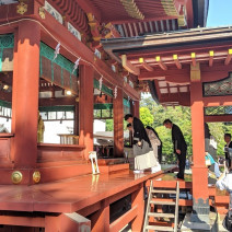 鶴岡八幡宮の結婚式 特徴と口コミをチェック ウエディングパーク