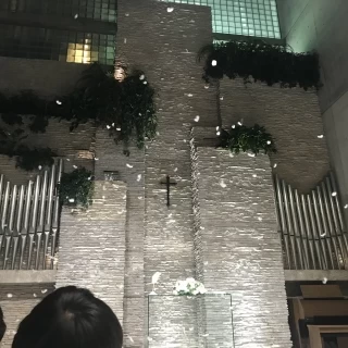 フェザーシャワー