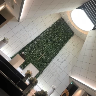 天井が高くて開放的です
