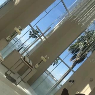 目の前にはヤシの木と海が見えます